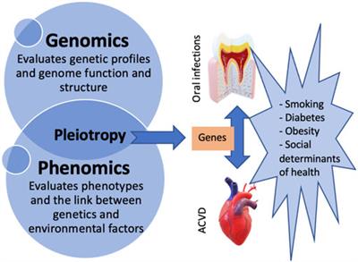 An updated review on the link between oral infections and atherosclerotic cardiovascular disease with focus on phenomics